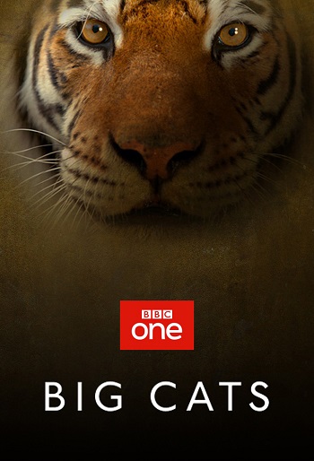 دانلود سریال Big Cats دانلود سریال Big Cats