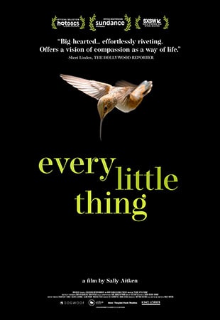 دانلود مستند Every Little Thing 2024 تمام چیزهای کوچک